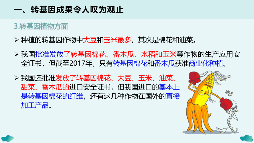 4.1转基因产品的安全性-(共18张PPT1份视频)课件人教版2019选择性必修3