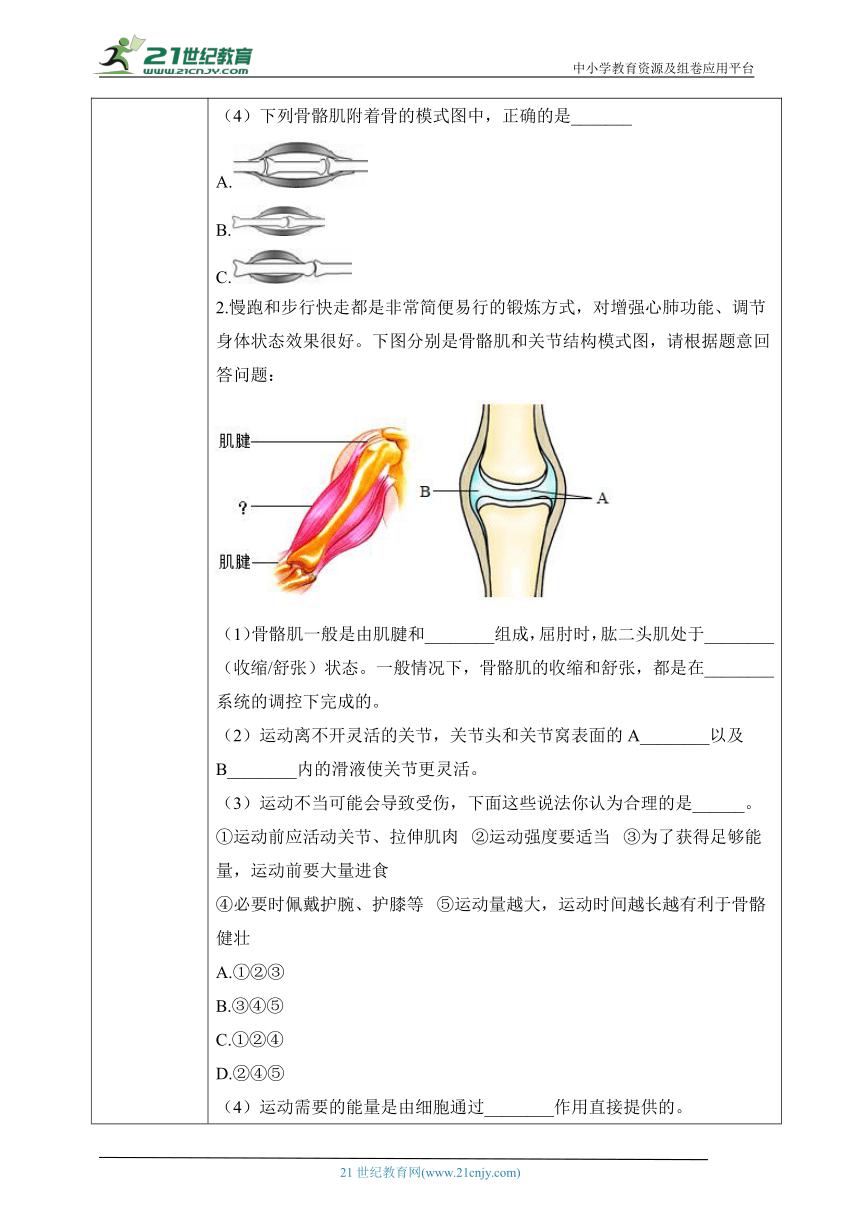 6.17.2  动物的运动依赖于一定的结构-2023-2024学年八年级生物上册同步学案（苏教版）