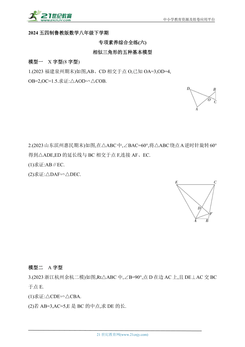 2024五四制鲁教版数学八年级下学期--专项素养综合全练(六)相似三角形的五种基本模型（含解析）