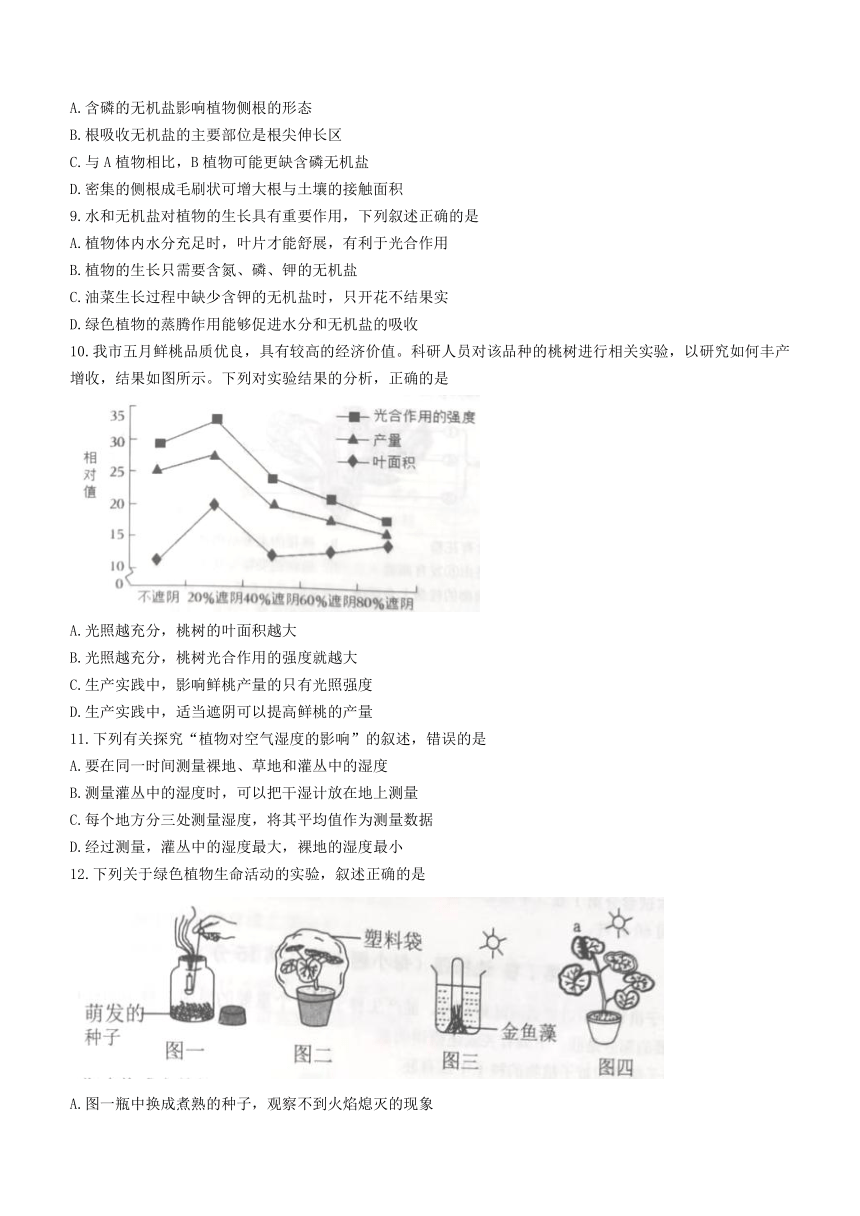 山东省泰安市新泰市2022-2023学年六年级下学期期末生物试题(无答案)