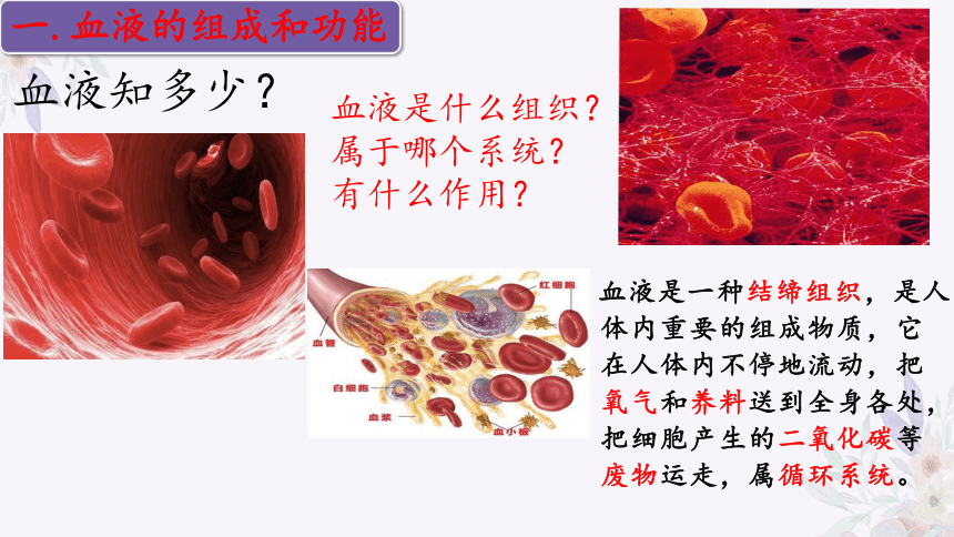 4.10.1血液和血型（第一课时）课件(共32张PPT)苏教版七年级生物下册