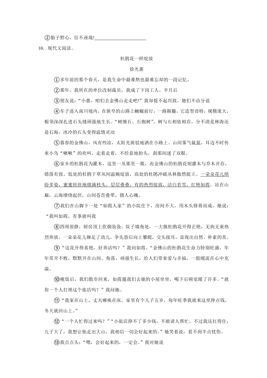 2023年山东省青岛高新区青岛实验学校小升初语文试卷（含解析）