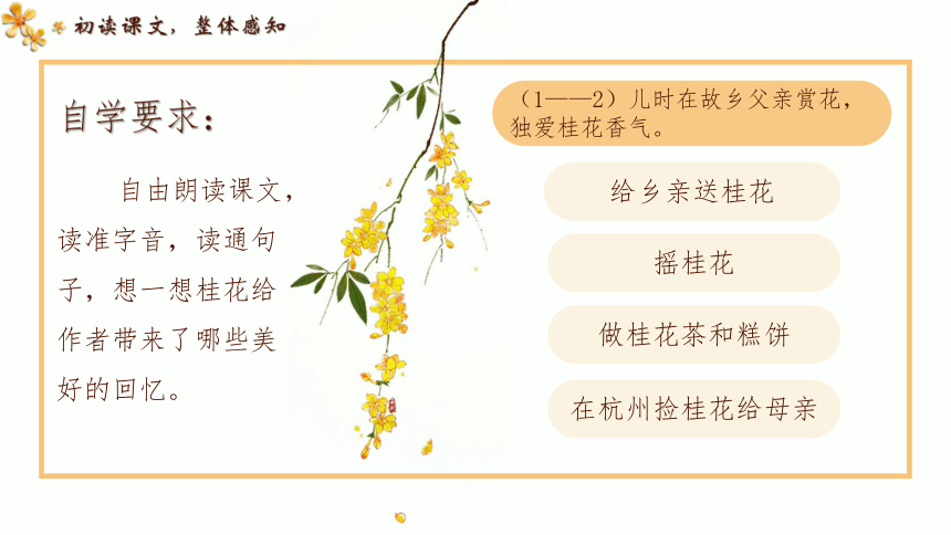 3《 桂花雨》 课件(共26张PPT)