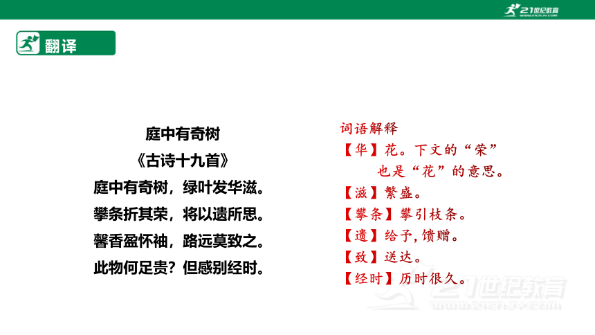 【备课先锋】第三单元 单元课外古诗词诵读 庭中有奇树 课件(共24张PPT)