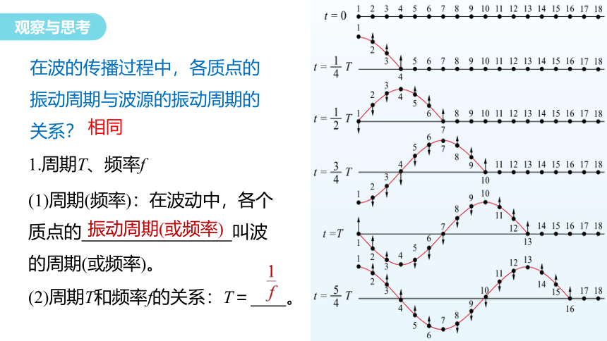 3.1 波的形成和描述(二) 课件(共22张PPT) 高中物理鲁科版（2019）选择性必修一