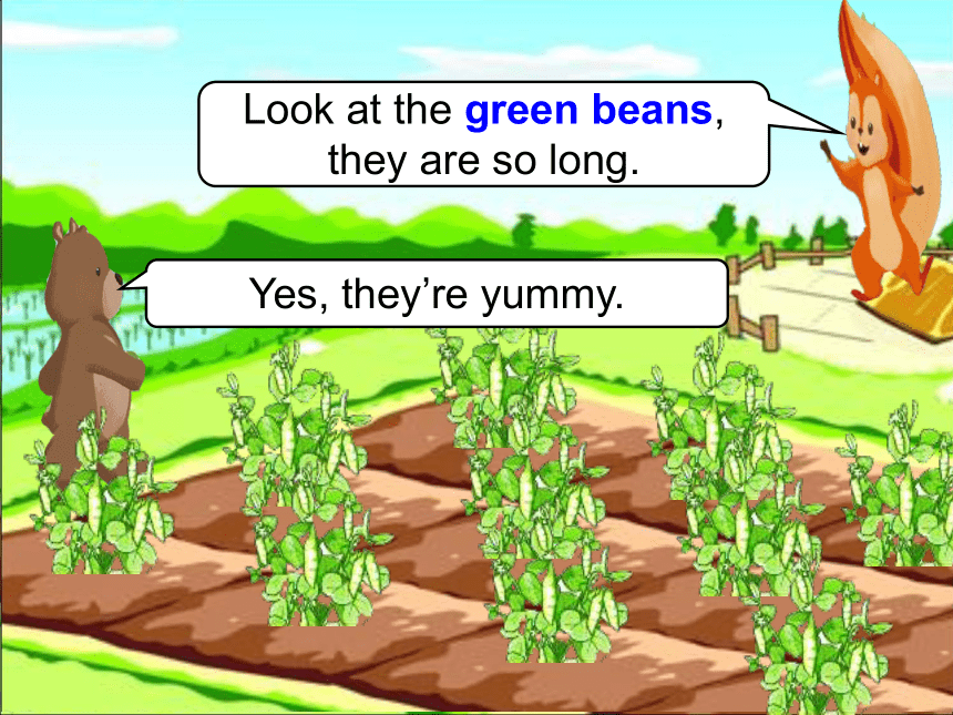 Unit 4 At the farm Part A Let’s learn  Let’s chant课件(共33张PPT)