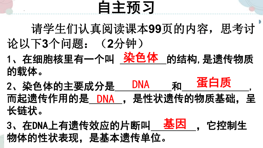 20.2 性状遗传的物质基础-2023-2024学年八年级生物上册同步教学课件（北师大版）(共33张PPT)
