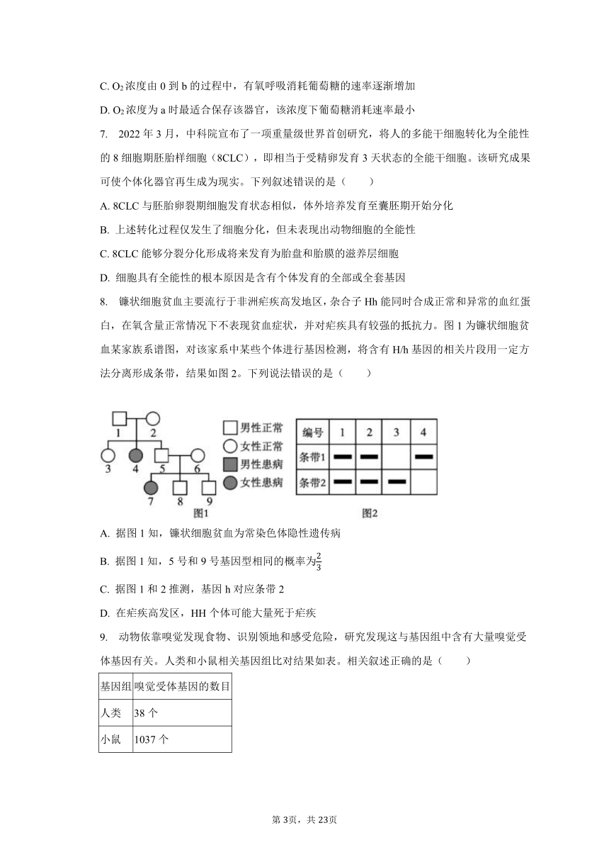 2023-2024学年湖北省宜荆荆恩高三（上）开学生物试卷（9月份）（含解析）