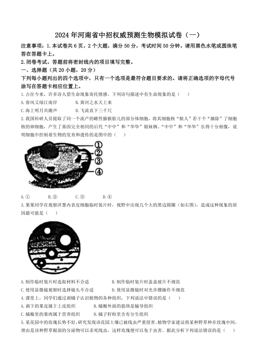 2024年河南省南阳市方城县第一次中招模拟联考模拟预测生物试题 （word版 含答案）