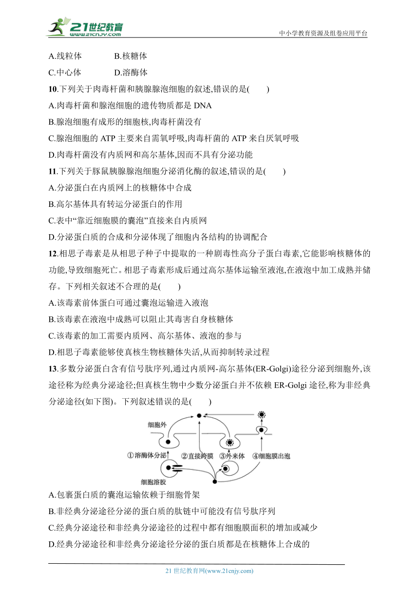 2025浙科版新教材生物学高考第一轮基础练--作业5　生物膜系统与细胞器之间的协调配合（含解析）