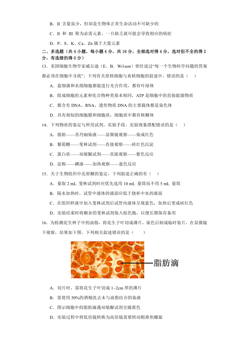 2.1细胞中的元素和化合物检测练习（有答案）2023-2024学年高一上学期生物人教版必修1