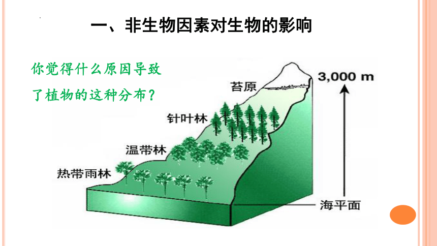 1.2.1生物与环境的关系课件（共32张PPT） 人教版生物七年级上册