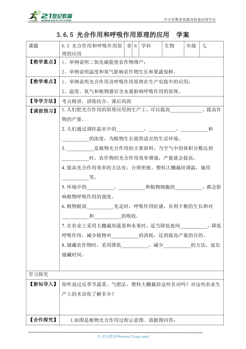 3.6.5  光合作用和呼吸作用原理的应用-2023-2024学年七年级生物上册同步学案（苏教版）（含答案）