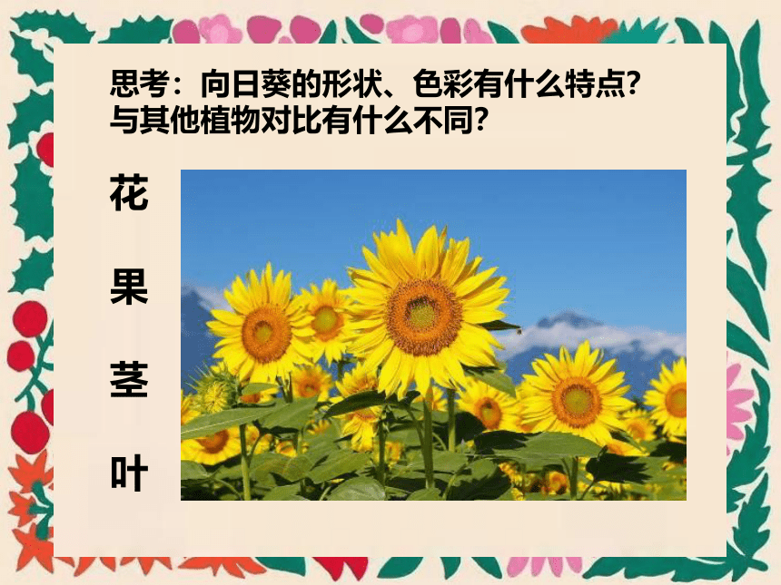 岭南版美术四年级上册3. 泥板植物  课件 (共14张PPT)