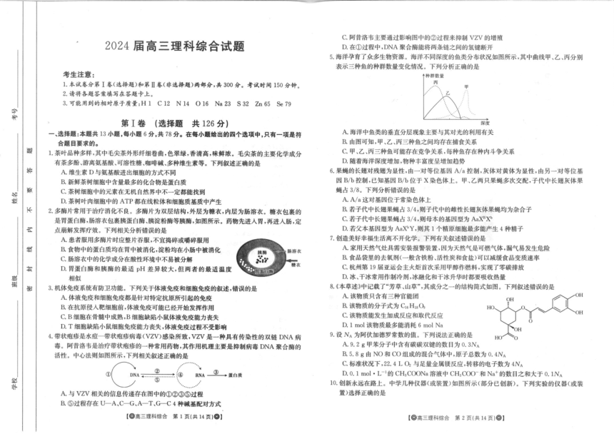 四川省雅安市联考2023-2024学年高三上学期12月联考理科综合试卷（PDF版含答案）