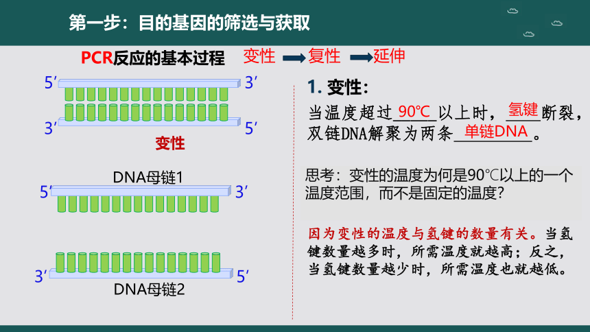 3.2基因工程的基本操作程序（第1课时）课件（共23张PPT1个视频）-人教版选择性必修3