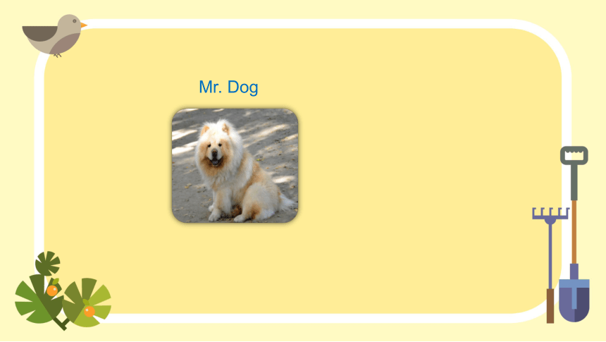 Lesson 2 Are you Mr Dog? 课件(共21张PPT)