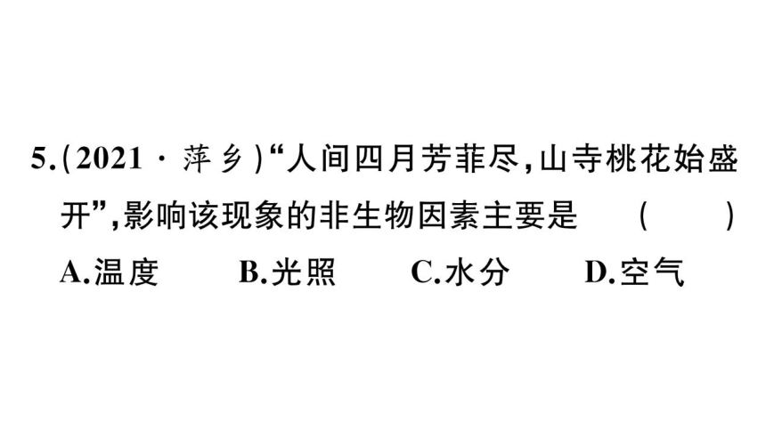 1.2.1生物与环境的关系习题课件(共38张PPT)