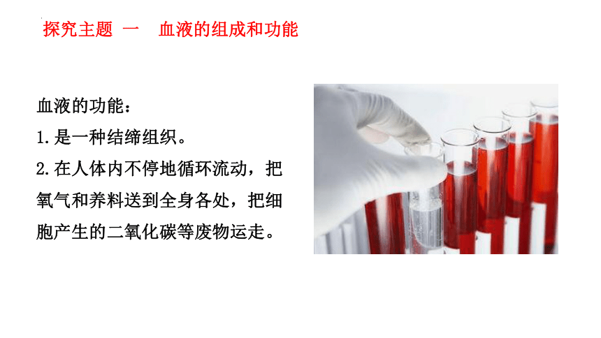 4.10.1血液和血型课件(共19张PPT) 苏教版生物七年级下册