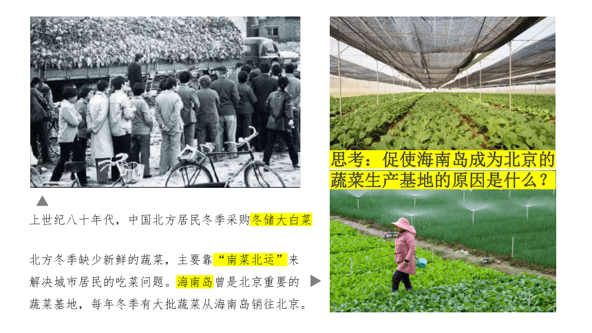 2.3.1 农业区位因素与农业布局 课件--湘教版2019必修二