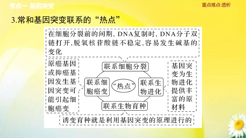 高三生物总复习课件-必修2 遗传与进化：第25讲　基因突变和基因重组(共30张PPT)