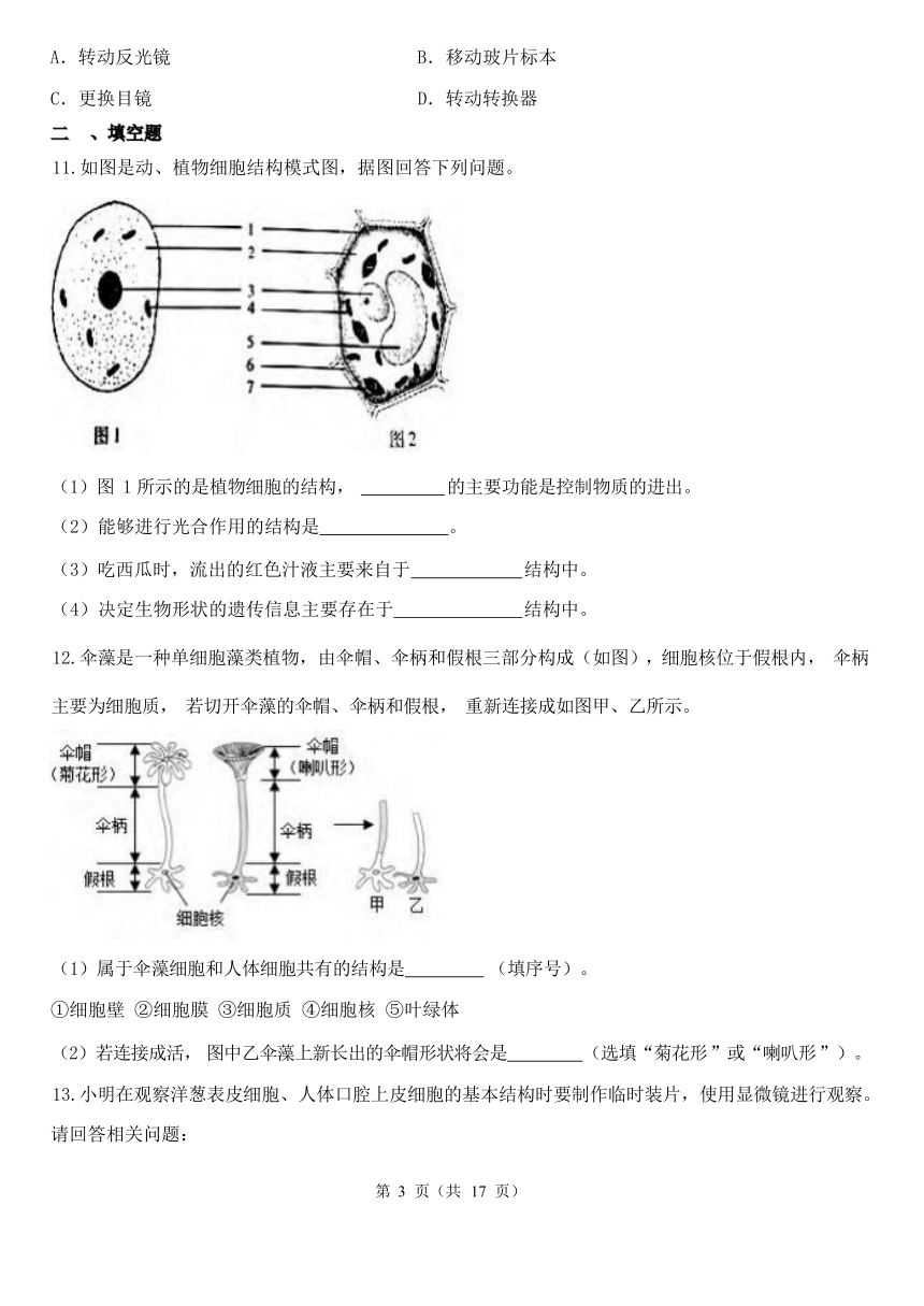 第2章 观察生物 2.1-2.2综合练习（含解析）