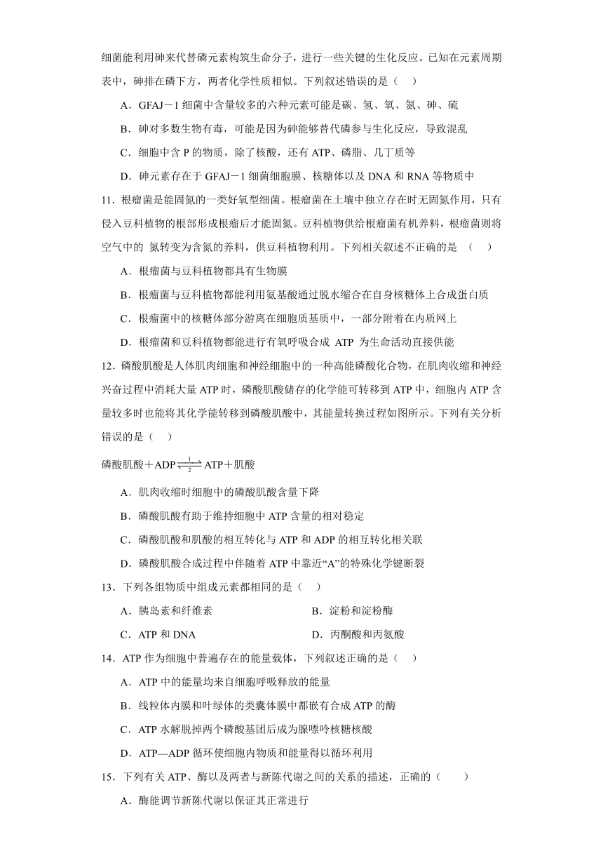 5.2细胞的能量“货币”ATP 练习（Word含解析） 2023-2024学年高中生物学人教版（2019）必修1