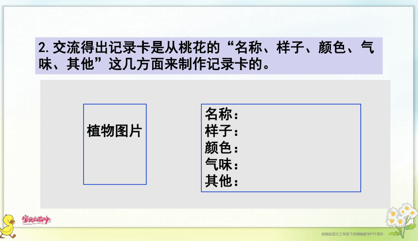 统编版三年级语文下册第一单元习作：我的植物朋友 课件（共22张PPT）