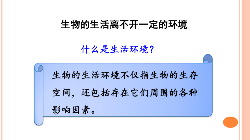 1.2.1生物与环境的关系课件（共32张PPT） 人教版生物七年级上册