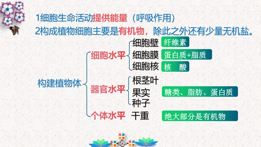 3.4 绿色植物是生物圈中的有机物的制造者-2023-2024学年七年级生物优质课件（人教版）(共17张PPT)