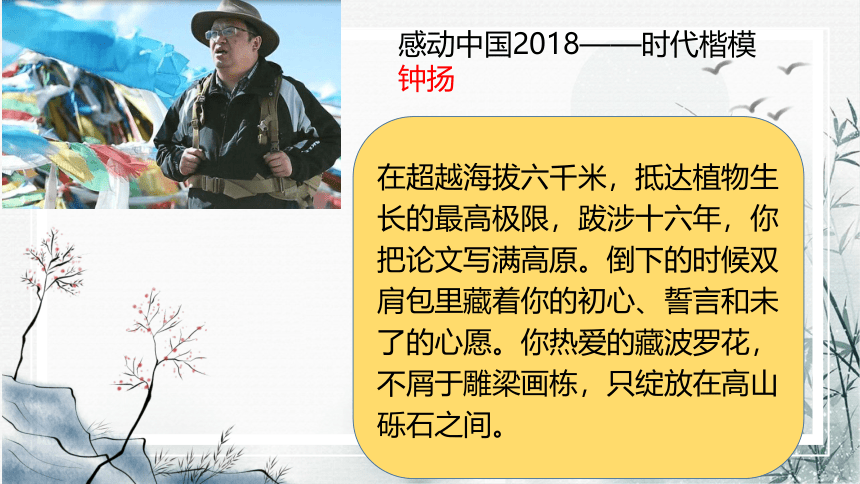 4.3《“探界者”钟扬》课件(共30张PPT)2023-2024学年统编版高中语文必修上册