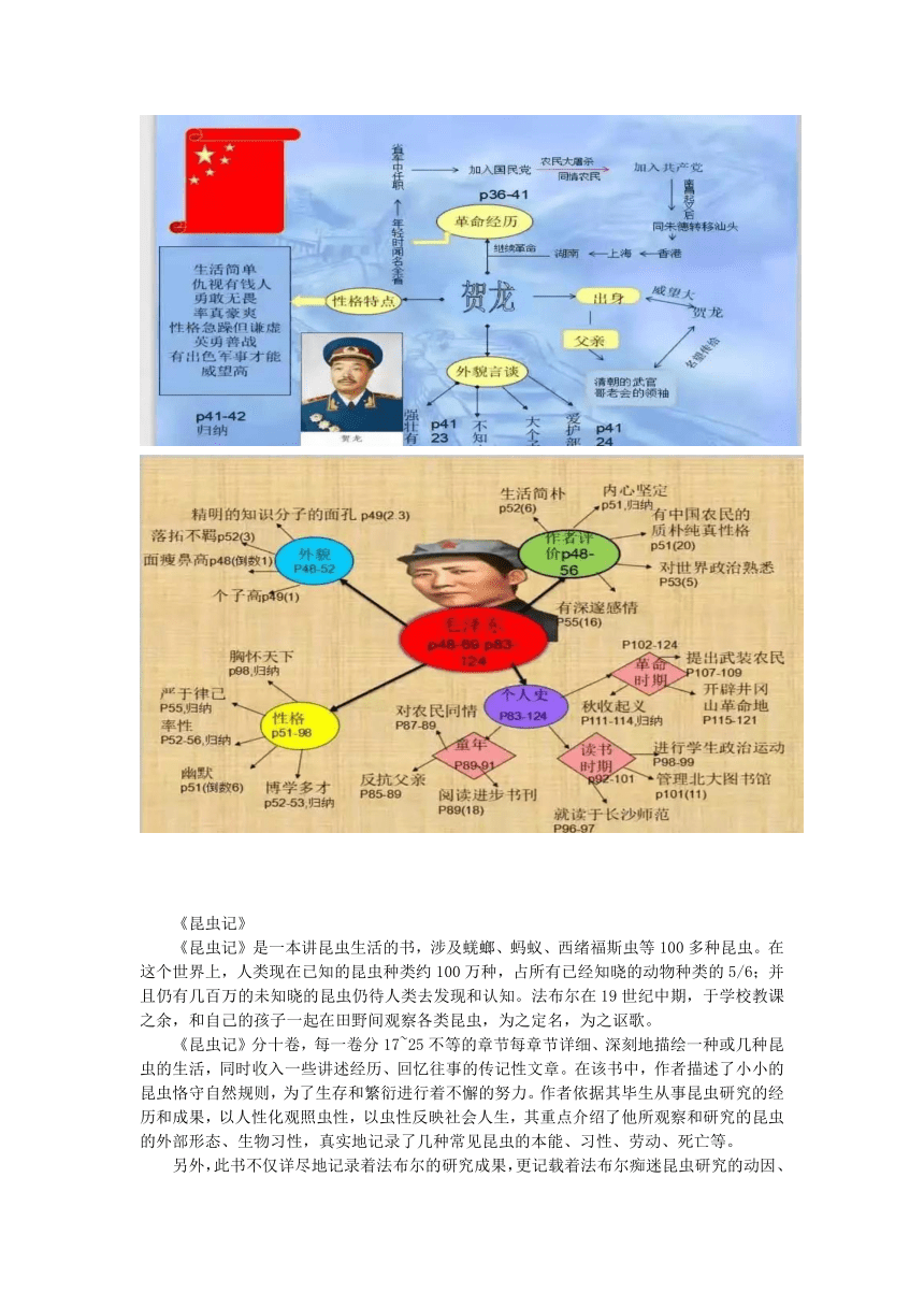 2023—2024学年统编版语文八年级上册名著导读复习（学案）