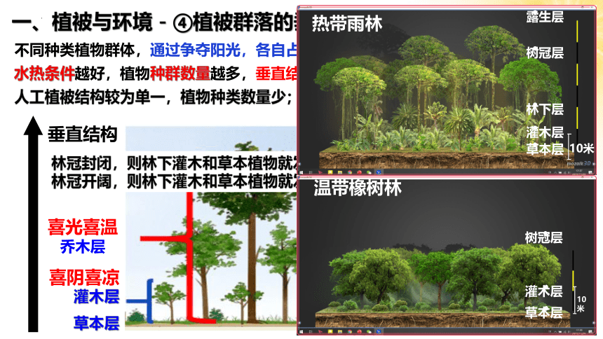 5.1植被课件2023-2024学年高一地理人教版（2019）必修第一册(共73张PPT)