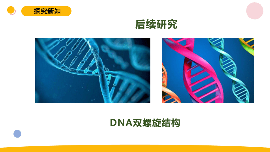 2023秋苏教版六年级科学上册2.7《寻找遗传与变异的秘密》 课件(共12张PPT)