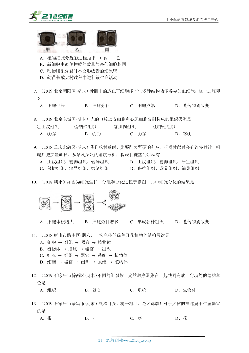 2023-2024学年初中生物济南版七年级上册1.2观察生物结构章节同步练习（答案+解析）