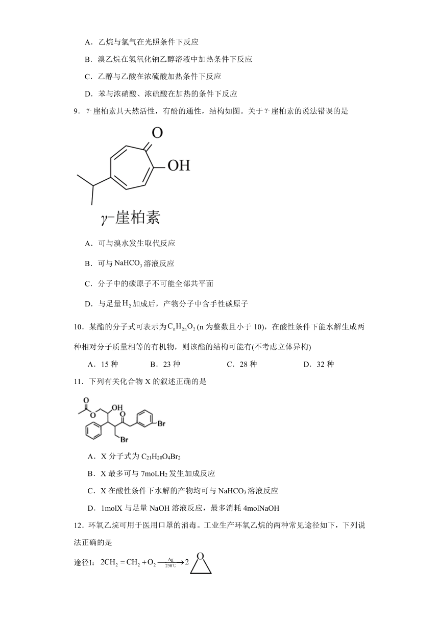 专题5 药物合成的重要原料—卤代烃、胺、酰胺 测试卷 （含解析）2023-2024学年高二下学期化学苏教版（2019）选择性必修3