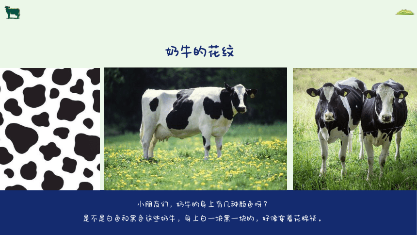 社团课程小学延时服务 《青青草原上的奶牛》课件(共20张PPT)