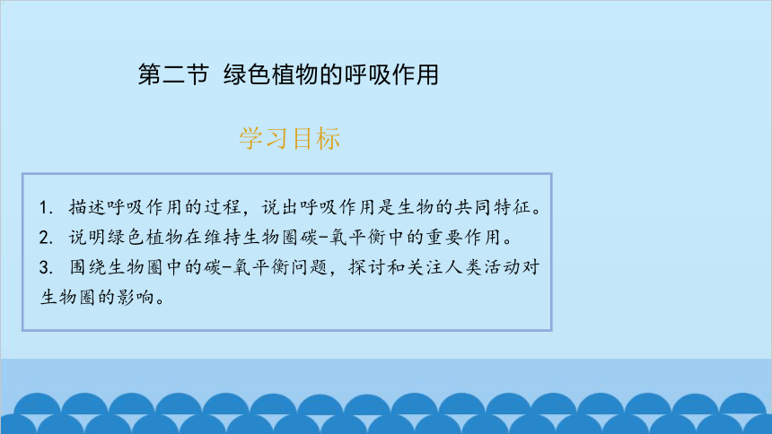 3.5.2 绿色植物的呼吸作用课件(共13张PPT)人教版生物七年级上册