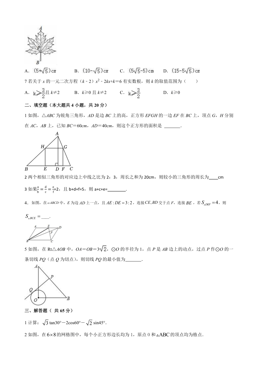 山东省聊城市阳谷县实验中学2023-2024学年九年级上学期期末数学试卷(无答案)