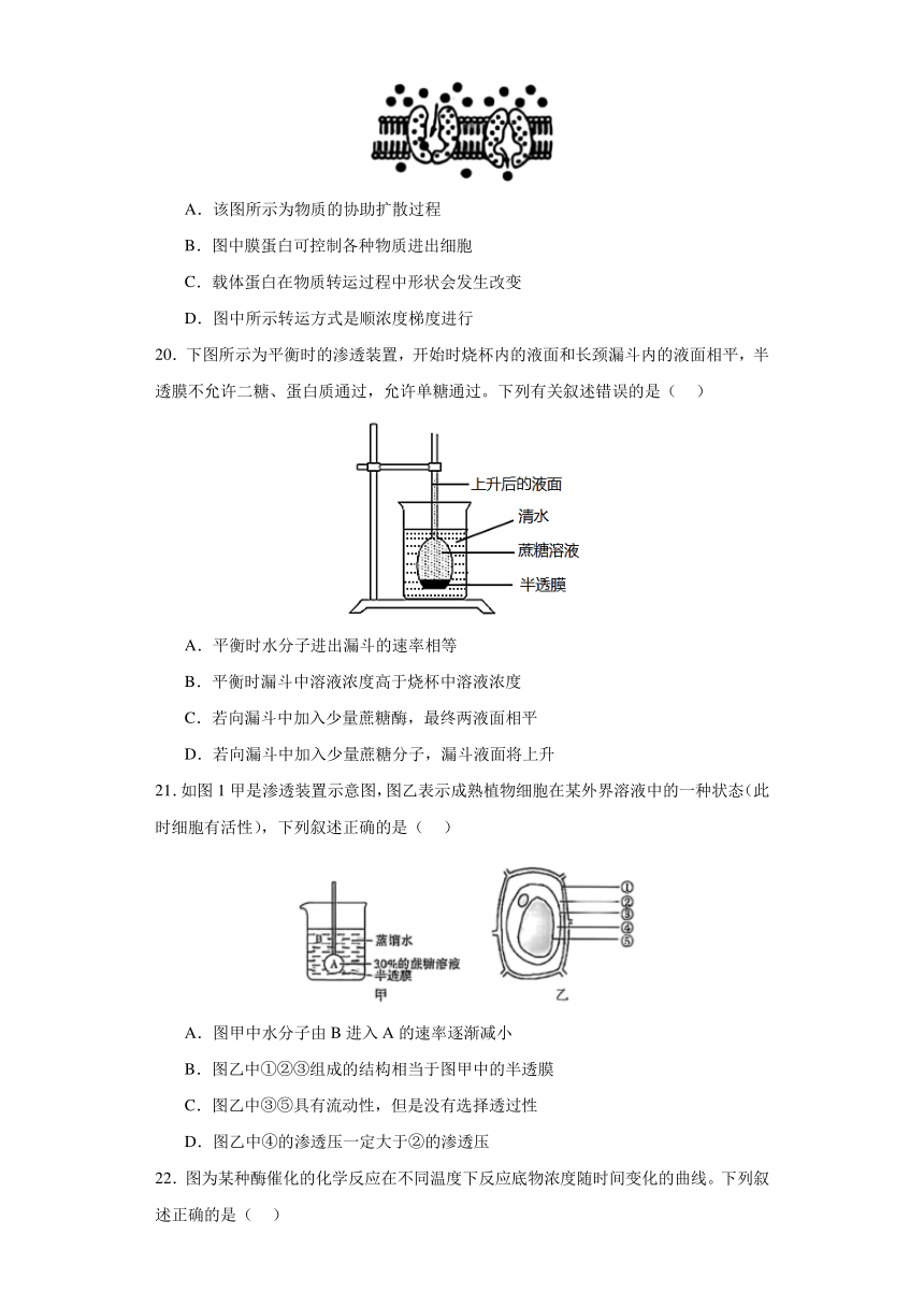 广东省深圳市光明区重点中学2023-2024学年高一上学期12月月考生物学试题（含答案解析）