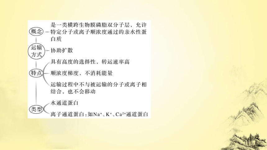 高考生物总复习微专题1 与细胞的物质输入和输出有关的热考题型(课件共25张PPT)