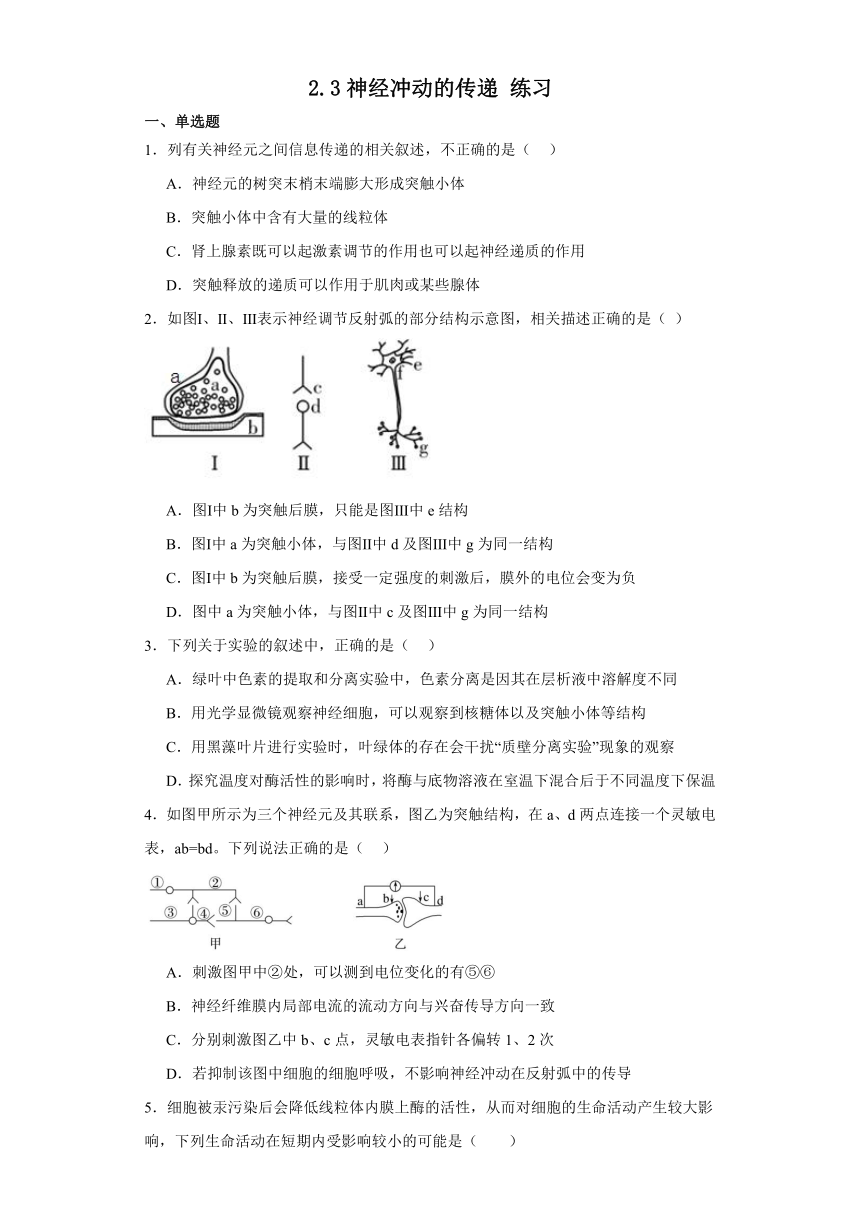 2.3神经冲动的传递 练习（含解析）