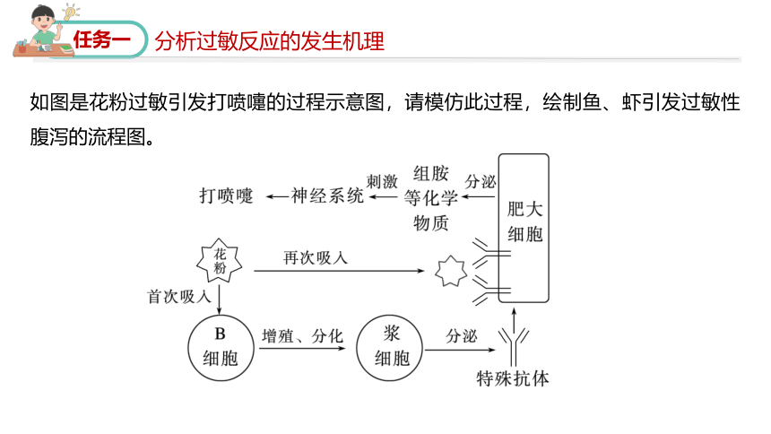 2023-2024学年高二生物人教版选择性必修第一册课件 4.3 免疫失调(共27张PPT2个视频)