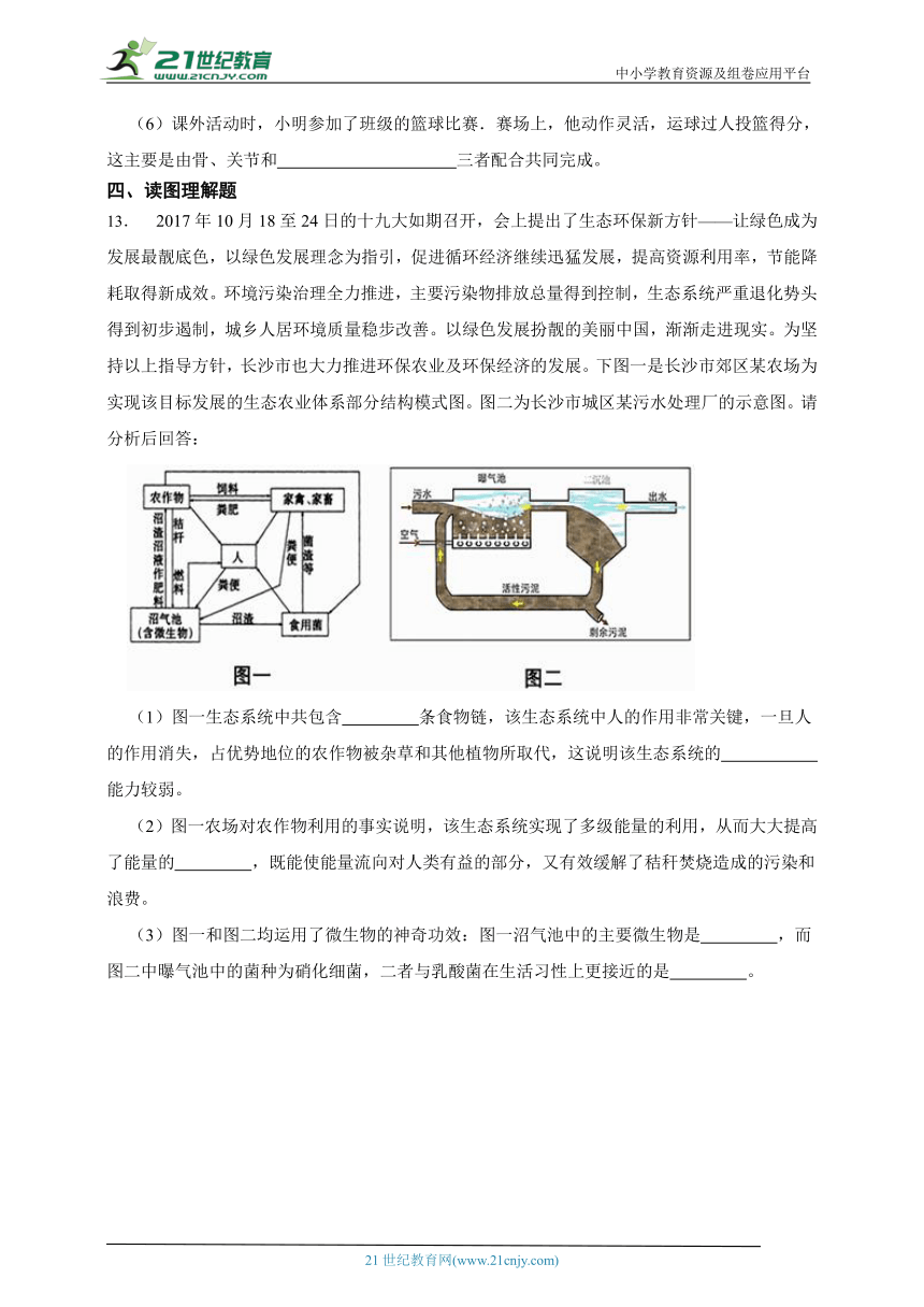 八年级上册5.4.5人类对细菌和真菌的利用一课一练（含解析）