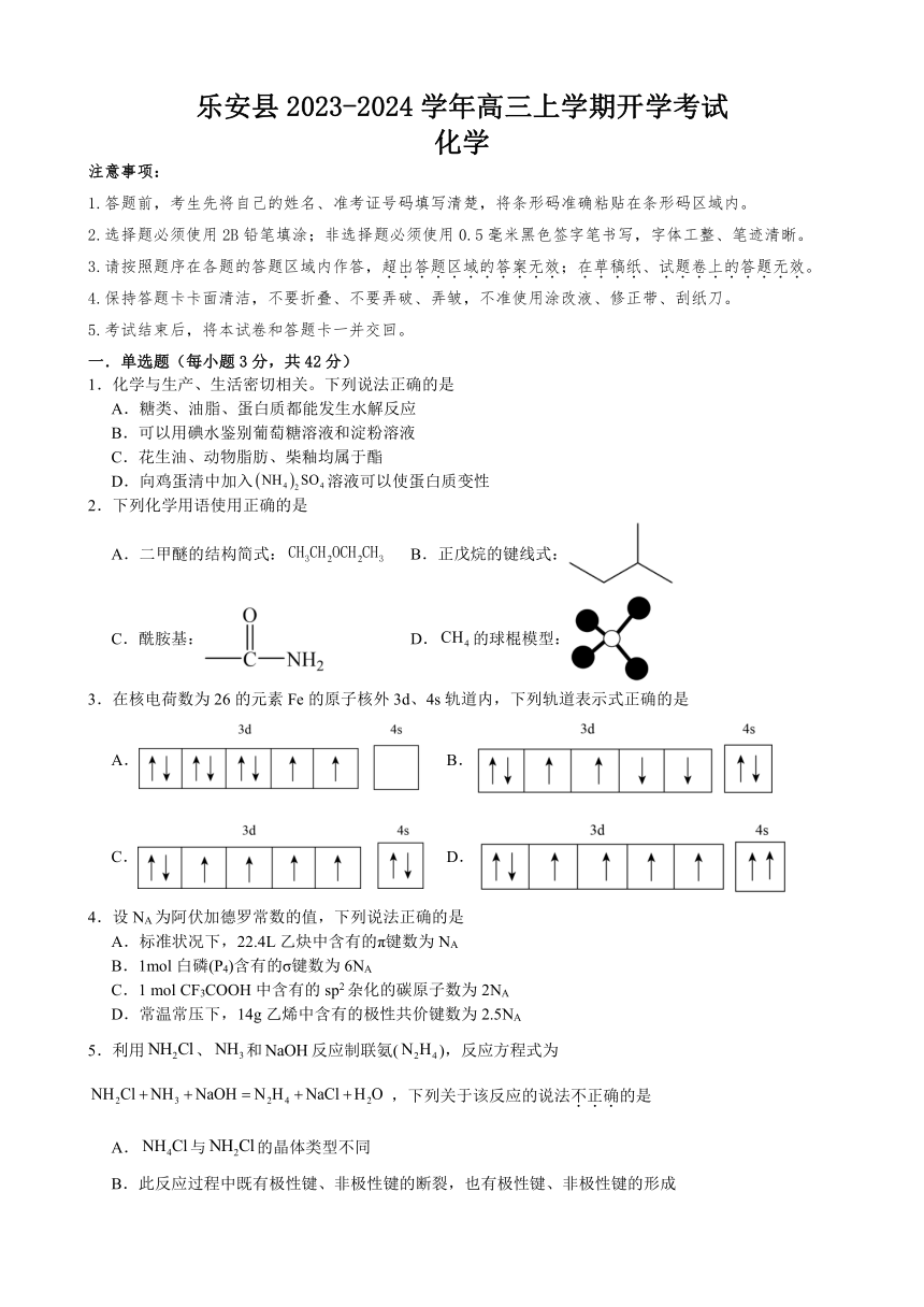 江西省乐安县2023-2024学年高三上学期开学考试化学试题（含答案）