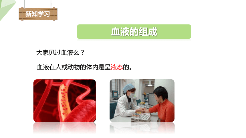 4.4.1 流动的组织——血液 课件(共19张PPT)2023-2024学年初中生物人教版七年级下册