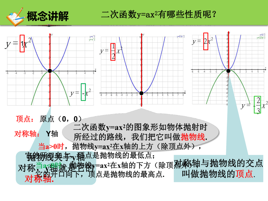 1.2二次函数的图象 第一课时 课件(共12张PPT)浙教版数学九年级上