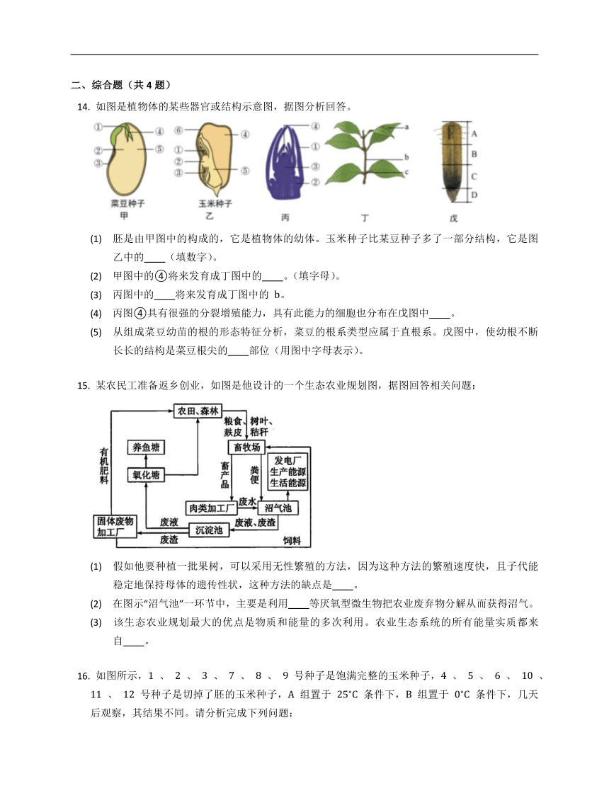 7.19.2植物的生长发育同步练习（含答案）苏科版八年级上册