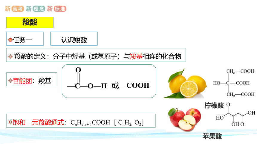 3.4.1  羧酸-高二化学课件(共32张PPT)(人教版2019选择性必修3)