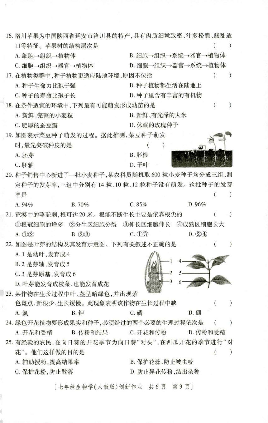 陕西省榆林市2023-2024学年七年级上学期12月月考生物试题 (PDF版 含答题卡无答案）